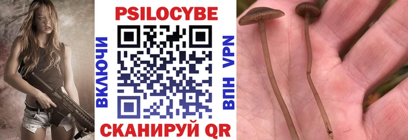купить закладку  Городище  Галлюциногенные грибы Cubensis 
